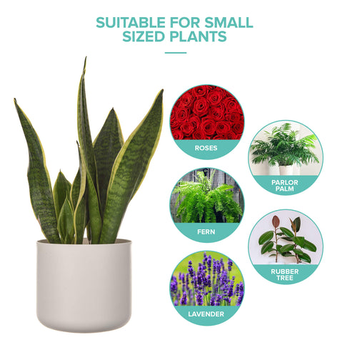 14cm Round Plant Pot Set of 2 - Matt White